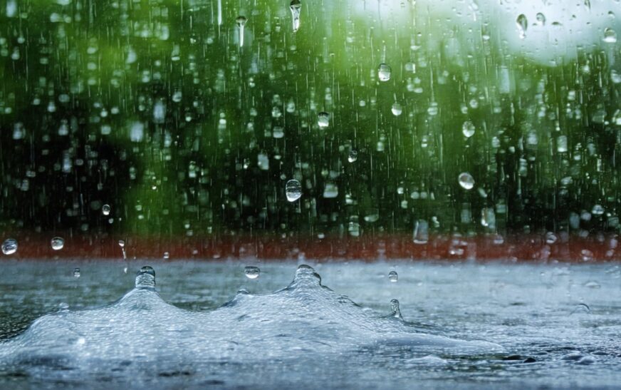 Sophie Rain Leak: What Happened and Where to Find the Latest Updates