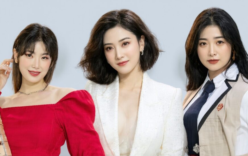 Cast of High Potential: Meet the Main Stars and Characters